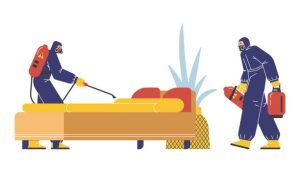 Top-Rated Bed Bug Exterminator in New York