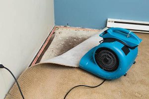 College Station’s Trusted Water Damage Restoration Experts