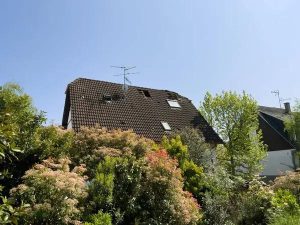Tampa’s Best Roofing Contractors: Reliable Installation Services