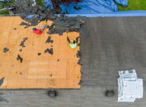 Protect Your Home with Professional Roof Replacement in Middleburg
