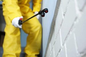 A Look Inside the Supernova Asbestos Surveys Asbestos Report