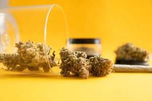 A Deep Dive into the Las Vegas Cannabis Scene