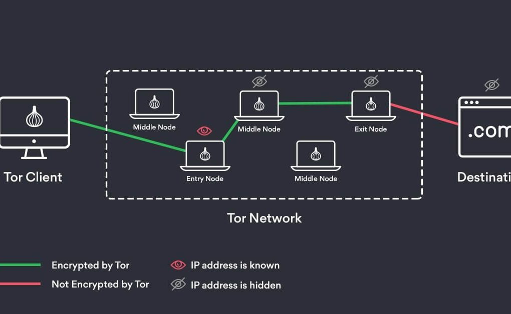 Dark Net Army and the Future of Cyberspace