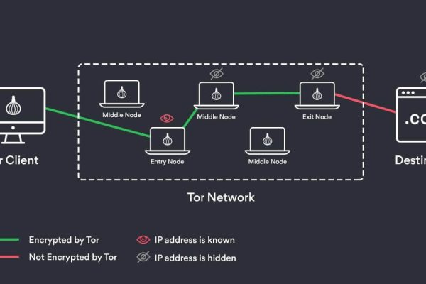 Dark Net Army and the Future of Cyberspace