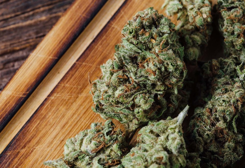 Discover Different Types of Weed for Every Cannabis Preference