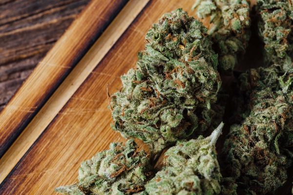 Discover Different Types of Weed for Every Cannabis Preference