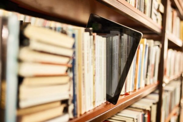 Building Professional Practice Through Social Work Experience