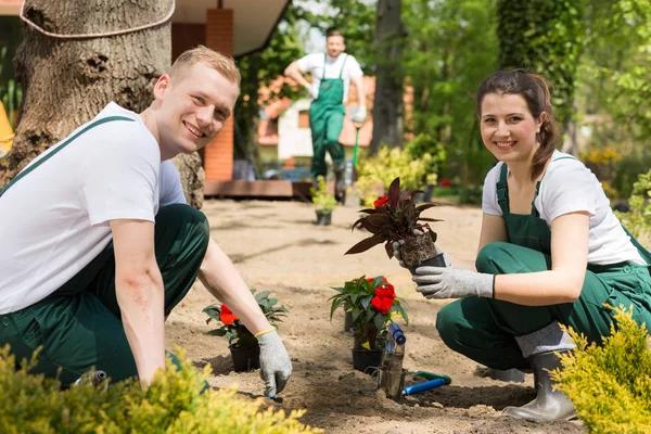 Enhance Your Curb Appeal with Landscaping Services in Winfield PA